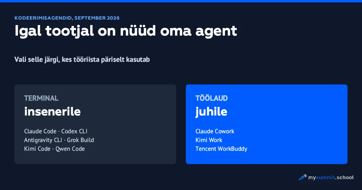Kodeerimisagendid 2026: kaks vormi – terminal ja töölaud