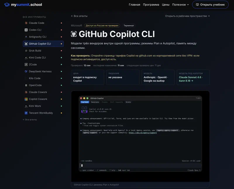 Страница обзора агента, на примере GitHub Copilot CLI